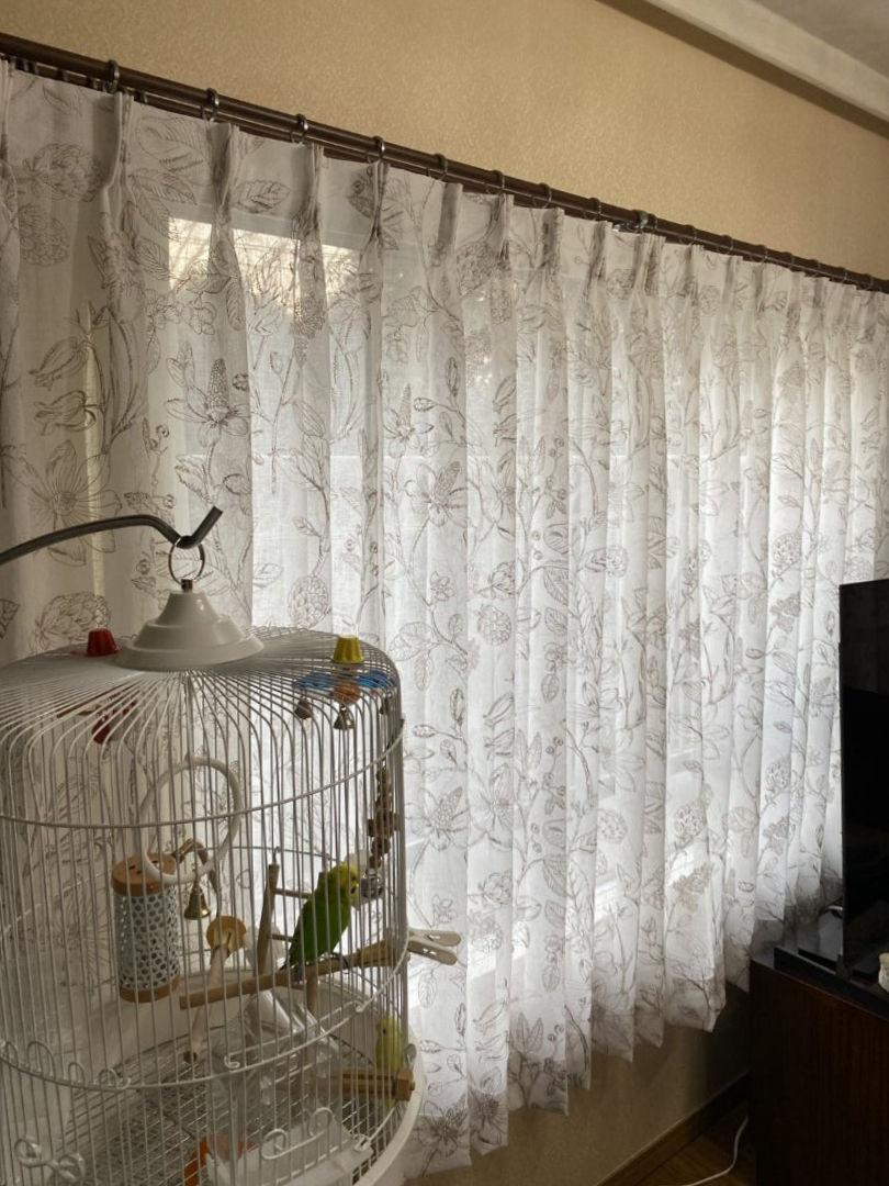 総刺繍レース SC7538