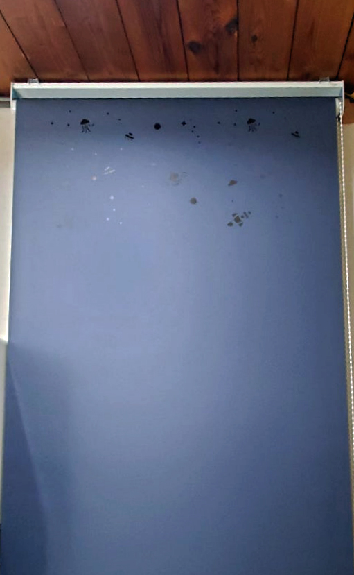 マイテックシーズ　逆巻き